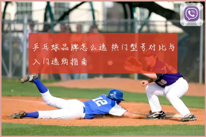 乒乓球品牌怎么选 热门型号对比与入门选购指南