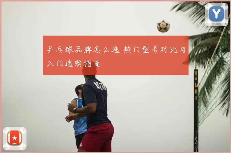 乒乓球品牌怎么选 热门型号对比与入门选购指南